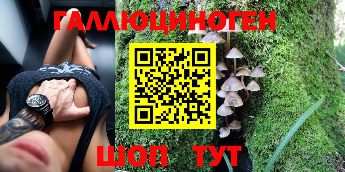 Ейск  Галлюциногенные грибы мицелий  Галлюциногенные грибы Psilocybine cubensis  Вход с VPN 